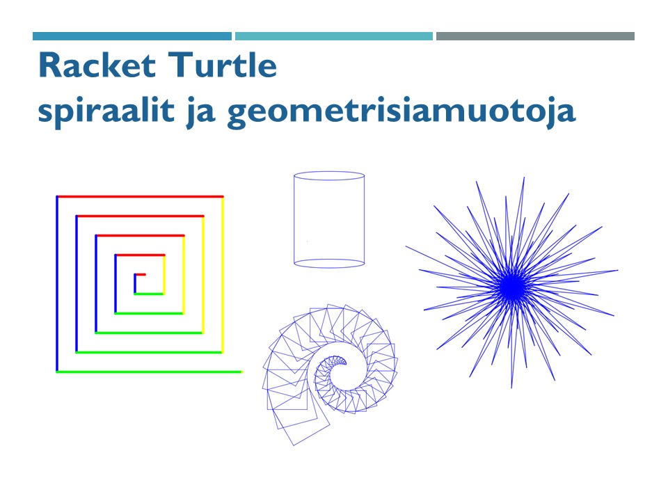turtle_ekasivu.png