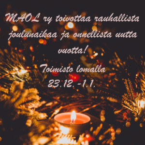 kynttilä hämärässä havujen seassa, tekstinä jouluntoivotus